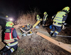 Feuerwache Egelsee / Philipp Harrauer